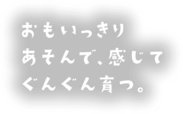 おもいっきり あそんで、感じて ぐんぐん育つ。